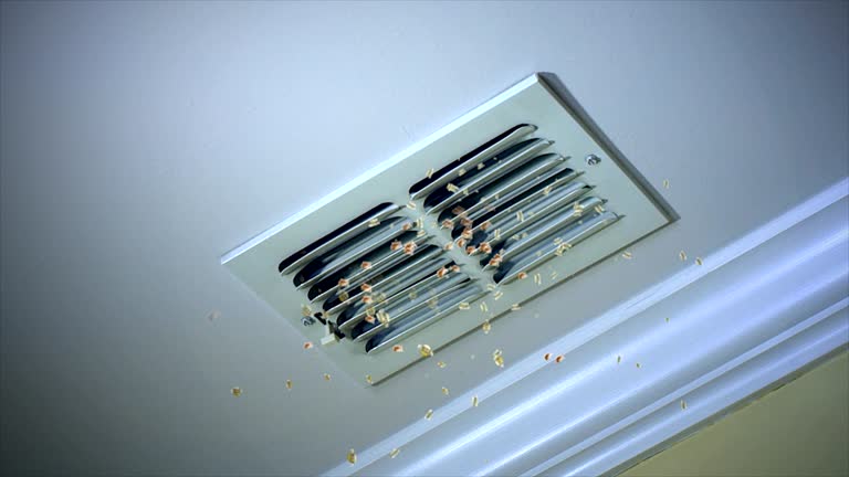Best Ductwork Cleaning Services  in Island Walk, FL