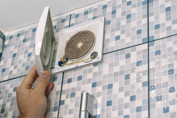 Best Local Air Duct Cleaning Services  in Island Walk, FL