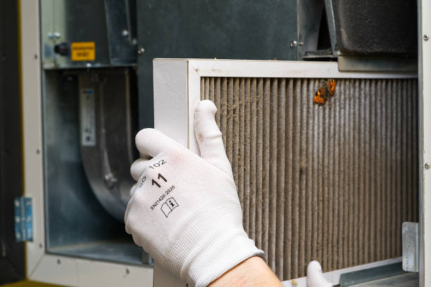 Best Emergency Air Duct Cleaning  in Island Walk, FL