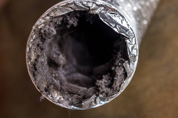 Best HVAC System Cleaning  in Island Walk, FL